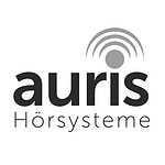 Hochwertiges akustisches Pro-Akustik-Hörsystem für klare Klangqualität und verbessertes Hörerlebnis.