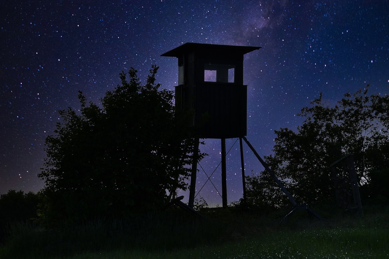 Wachtturm bei sternenklarem Nachthimmel, ruhige Landschaft, dunkle Baumumgebung, klare Nacht, Natur, Outdoor, Ruhe.